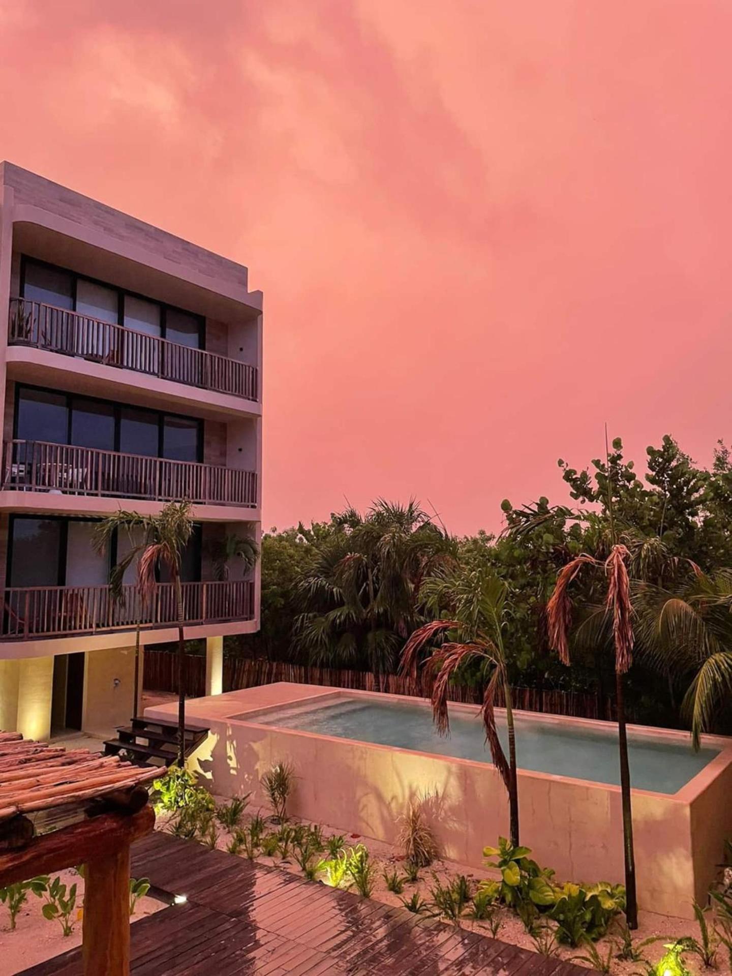 Ocean View Loft In Punta Cocos - C102 Hotel Isla Holbox Exterior photo