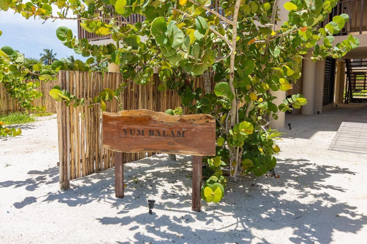 Ocean View Loft In Punta Cocos - C102 Hotel Isla Holbox Exterior photo